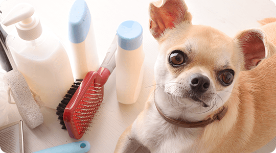 トリミングの最適な頻度